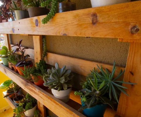 Medano4you Pearl Flavour